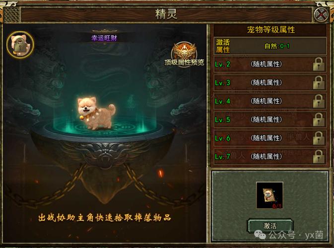 了解传奇好服宠物的重要性