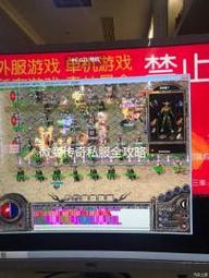 微变传奇私服网站宠物合成玩法揭秘