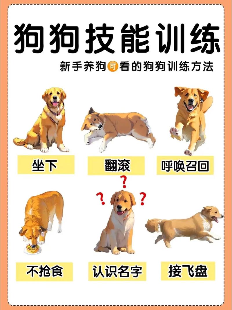 zhaosf123宠物技能学习